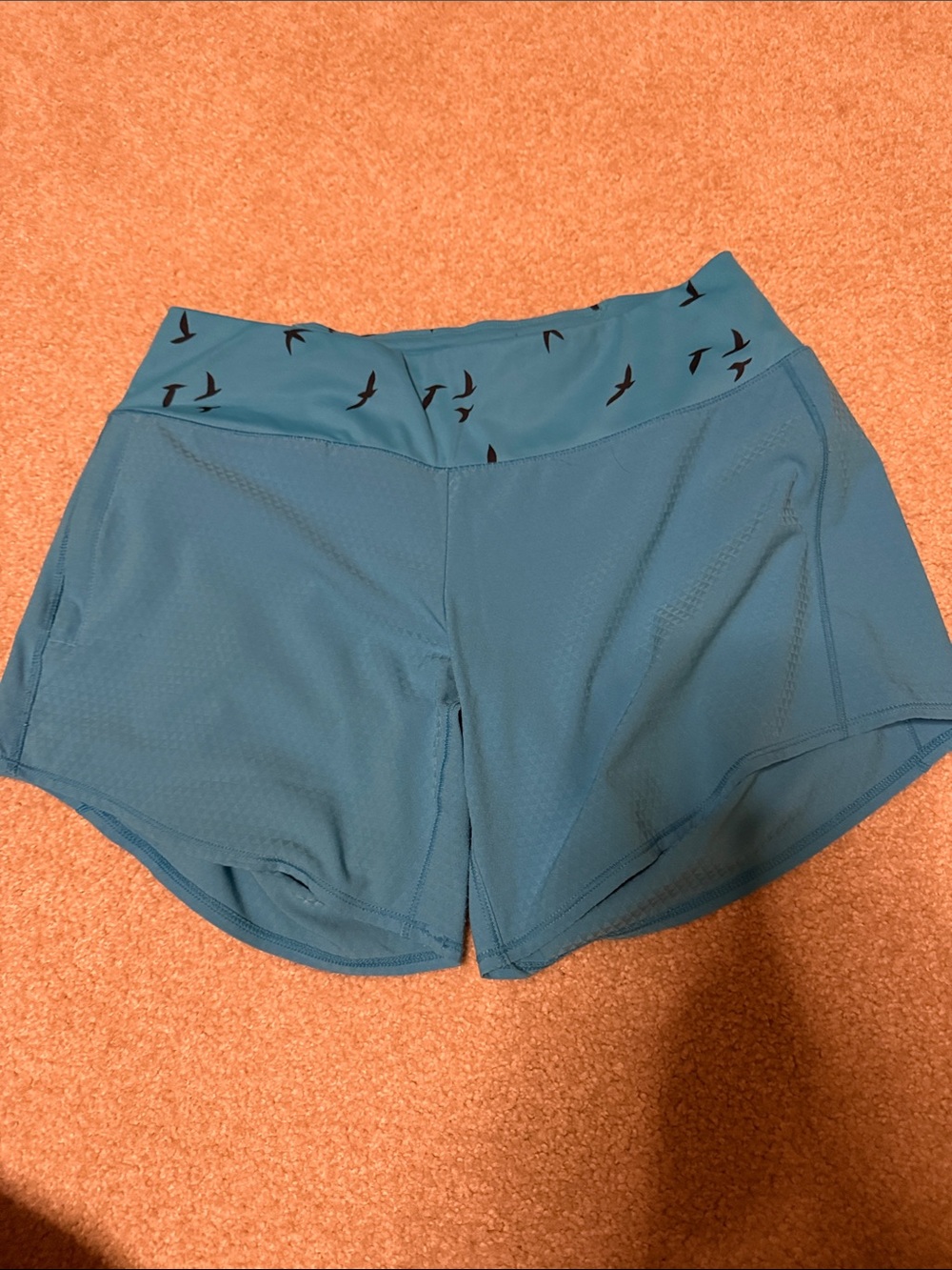 Oiselle running shorts lined size 4